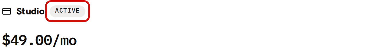 The top of the plan summary on Settings › Billing for a monthly plan after its 3 intro months: Studio, the Active badge circled in red, and $49.00/mo